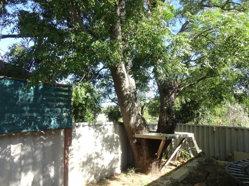 15 Hoyle Road, Medina WA 6167