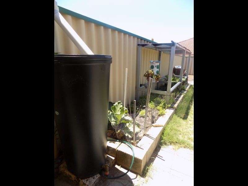 16 Unicorn Street, Bertram WA 6167