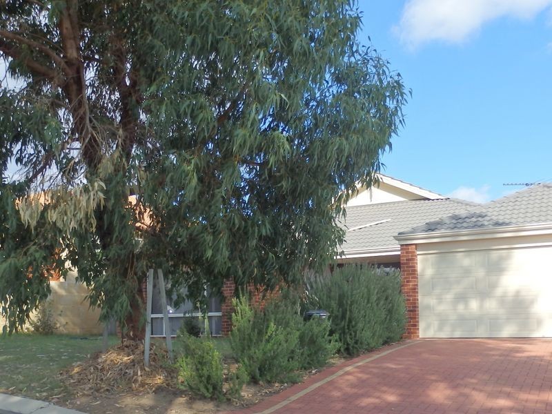 7 Greenstead Way, Wellard WA 6170