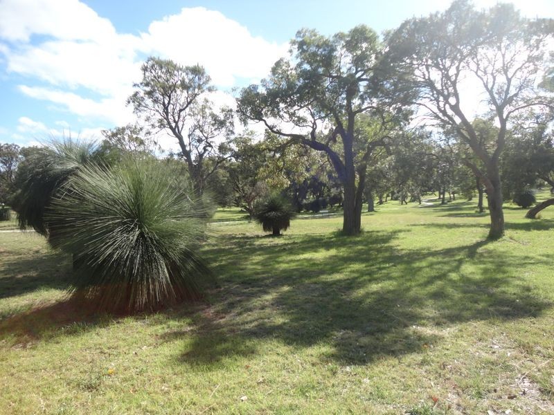 22 Clark Way, Orelia WA 6167