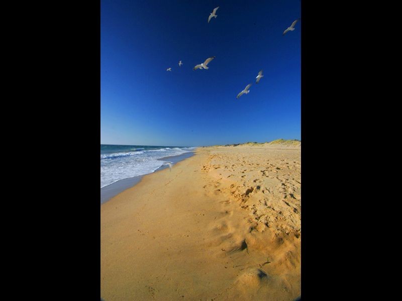 11 Lakeview Road, Hamel WA 6215