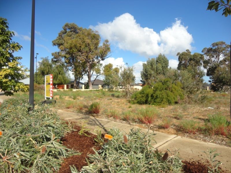 1 Cookham Green, Wellard WA 6170