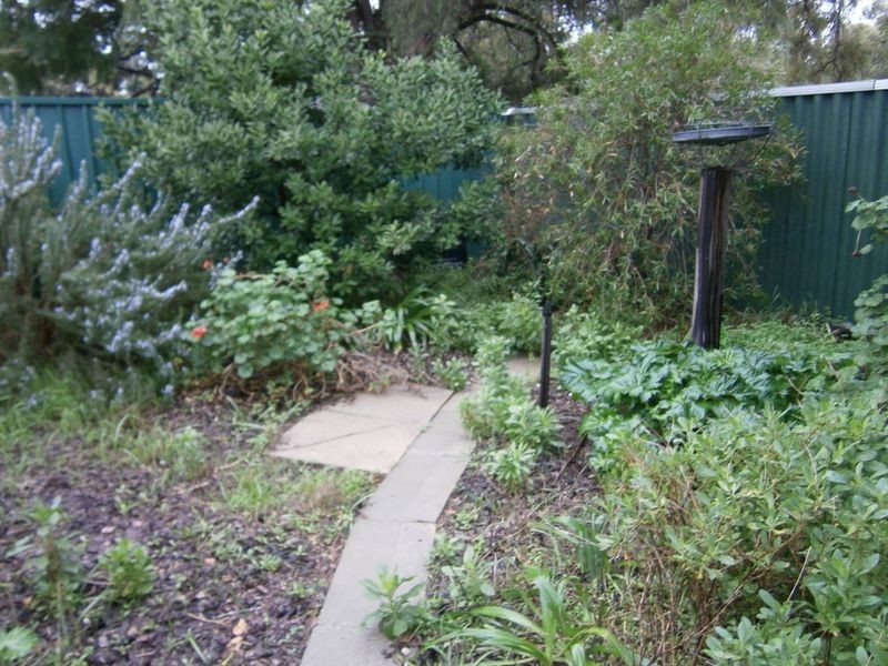 20 Elmslie Street, Orelia WA 6167