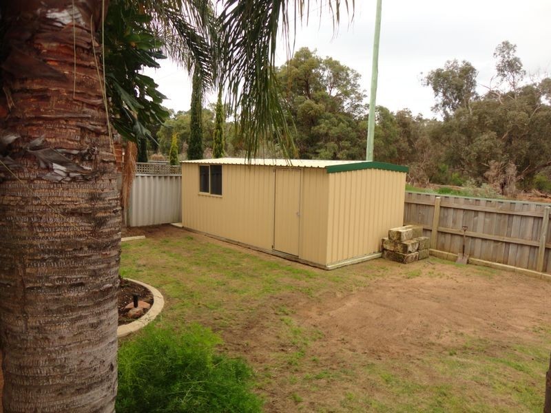 7 Graydon Grove, Leda WA 6170