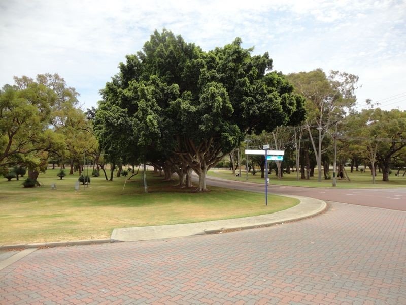 40 Medina Avenue, Medina WA 6167