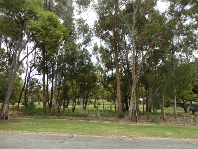 40 Medina Avenue, Medina WA 6167