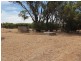 217 Richmond Street, Williams WA 6391