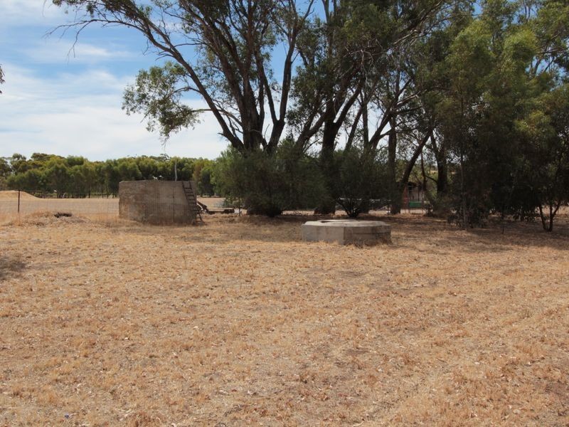 217 Richmond Street, Williams WA 6391