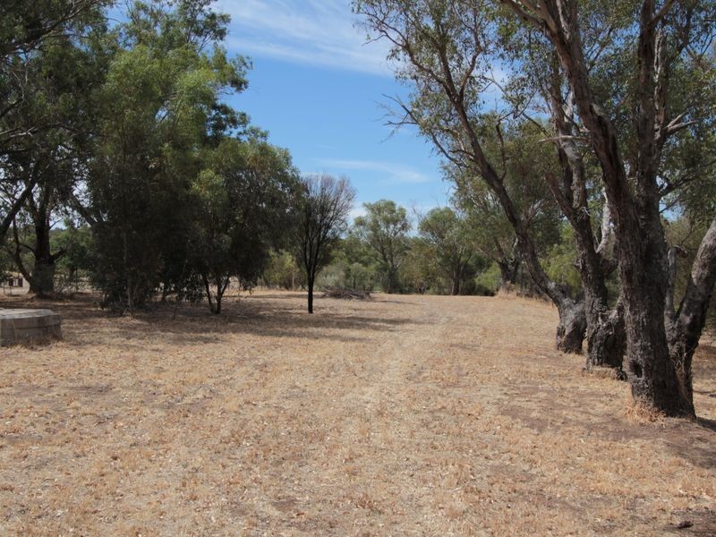 217 Richmond Street, Williams WA 6391