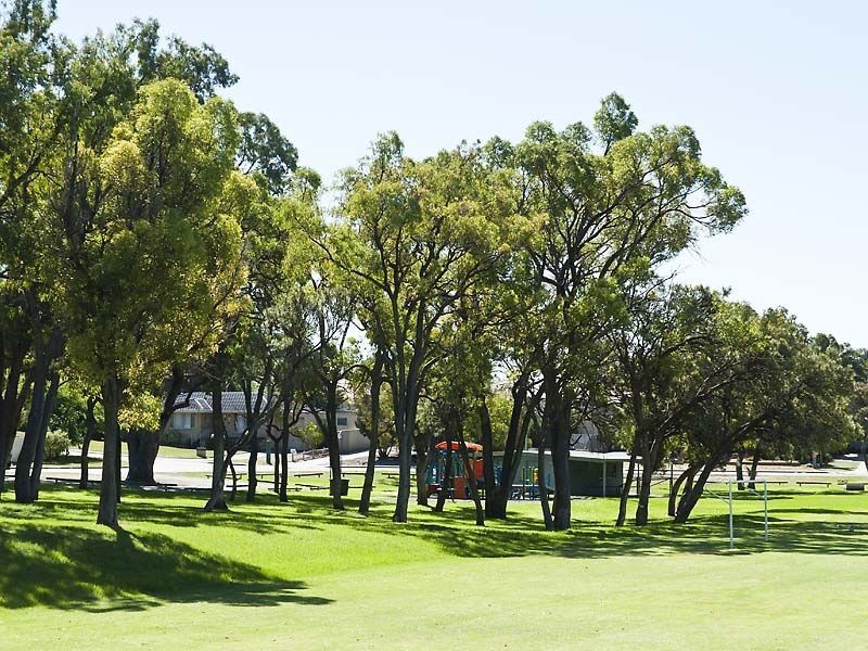35 Rhodes Crescent, Calista WA 6167