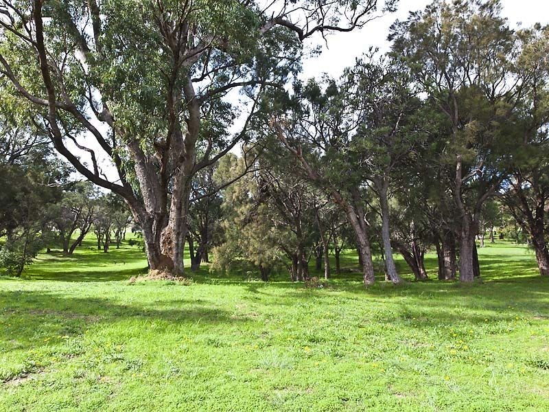 6 Broughton Way, Orelia WA 6167