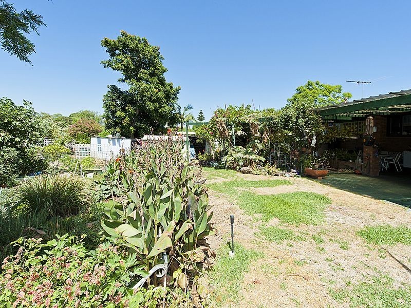 53 Wellard Road, Calista WA 6167