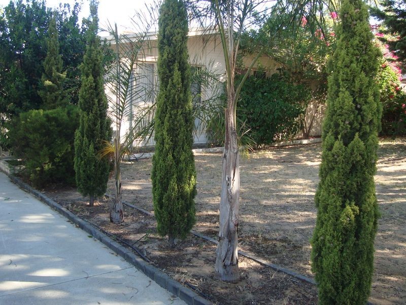 72 Summerton Road, Calista WA 6167