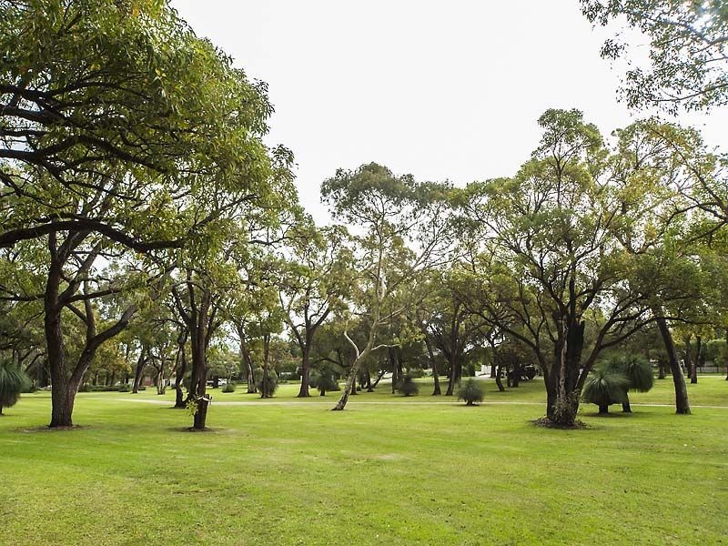 43 Medina Avenue, Medina WA 6167