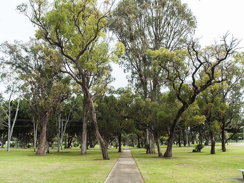 43 Medina Avenue, Medina WA 6167