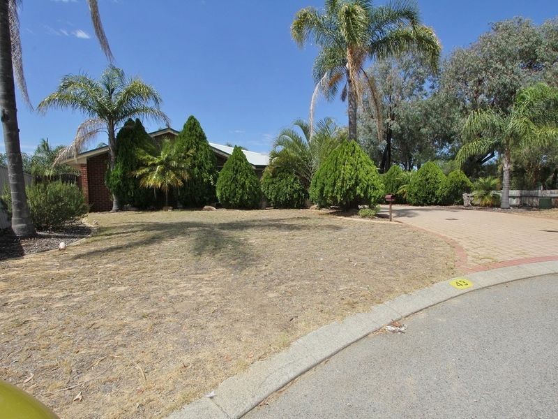 43 Whitebread Way, Leda WA 6170