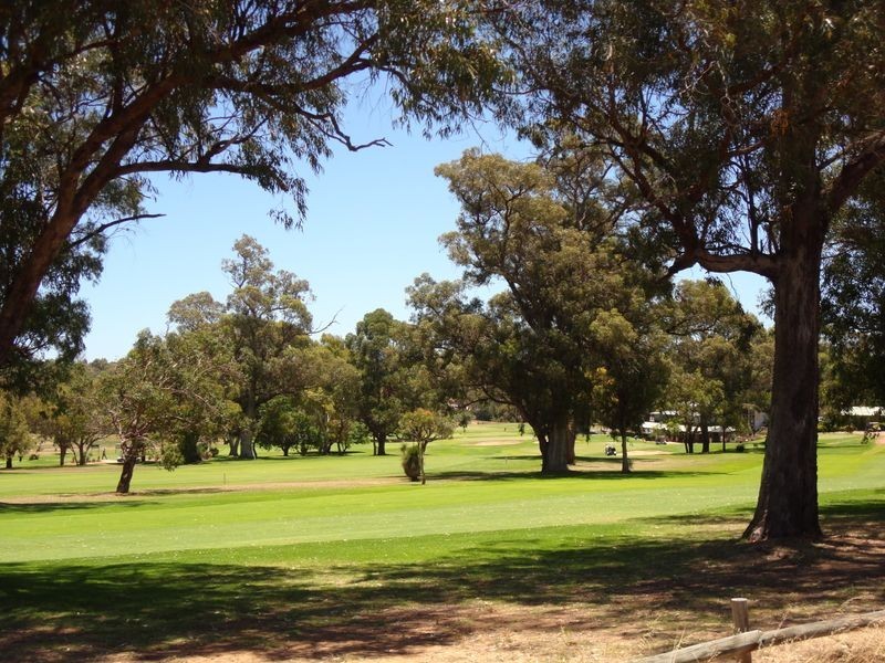 17a Westbrook Street, Calista WA 6167