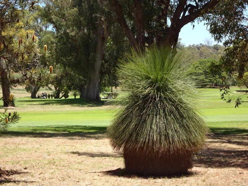 17a Westbrook Street, Calista WA 6167