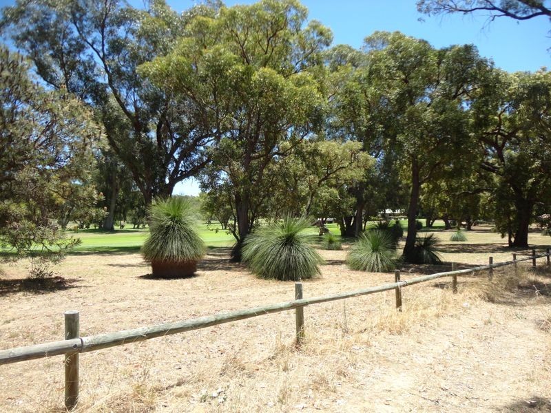 17a Westbrook Street, Calista WA 6167