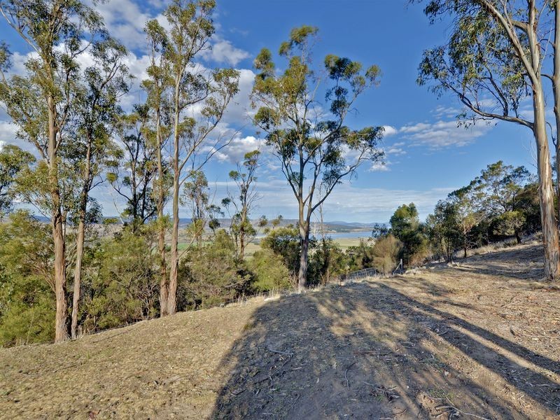 7 Boldrewood Court, Dulcot TAS 7025