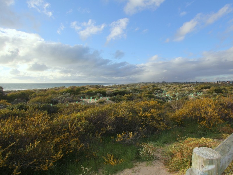 14 Peacock Avenue, Singleton WA 6175