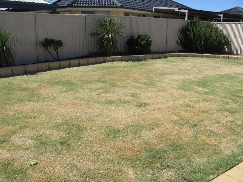 11 Parkfield Boulevard, Bertram WA 6167