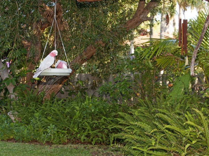 1 Robert Place, Calista WA 6167