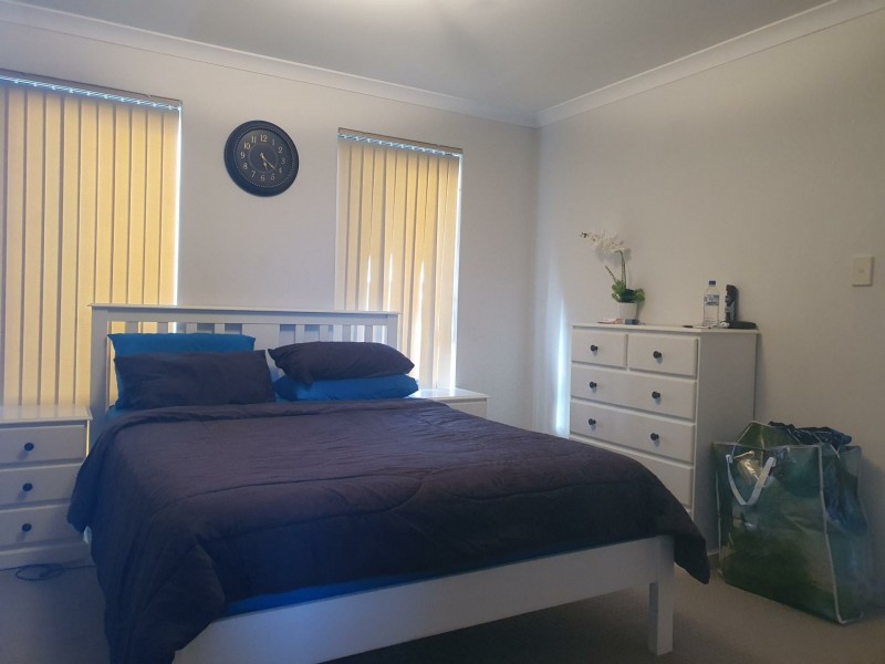 3 Petworth Street, Wellard WA 6170