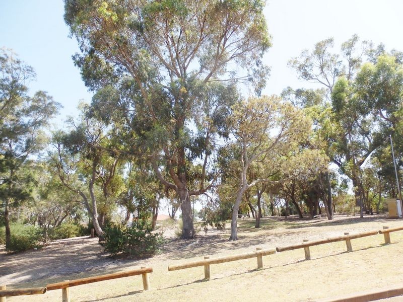 8 Whyatt Green, Leda WA 6170