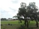 Unit 12/10 Prescott Place, Orelia WA 6167