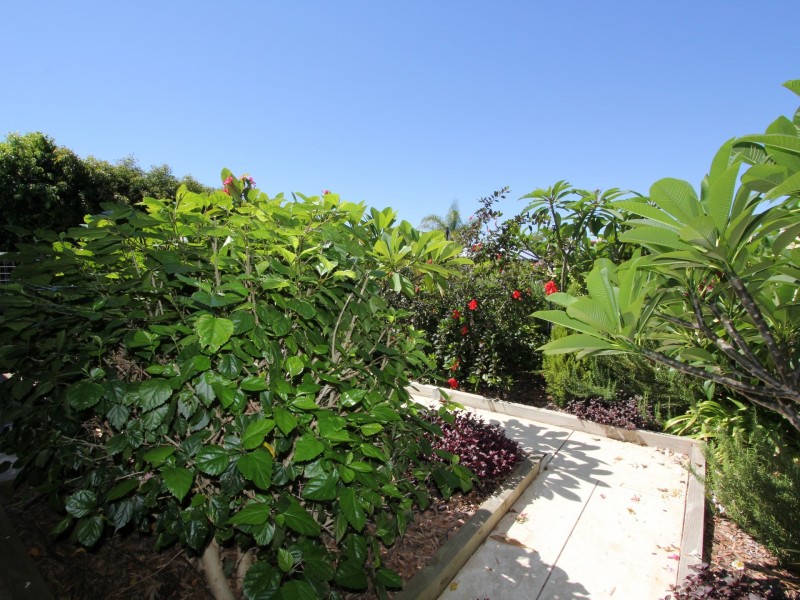 11 Blackboy Rise, Parmelia WA 6167