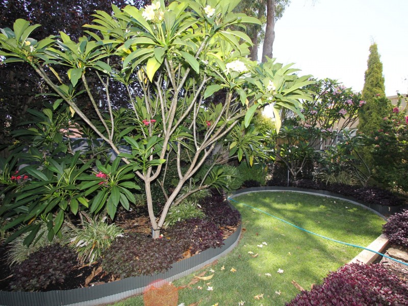 11 Blackboy Rise, Parmelia WA 6167