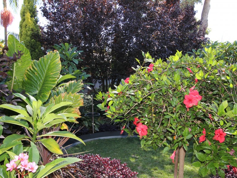 11 Blackboy Rise, Parmelia WA 6167