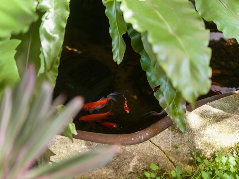 11 Blackboy Rise, Parmelia WA 6167