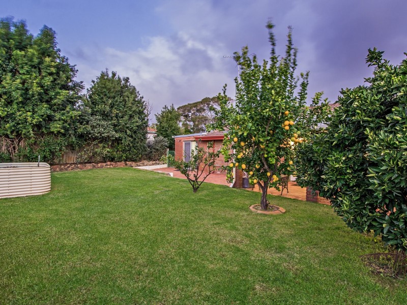 3 Chester Court, Orelia WA 6167