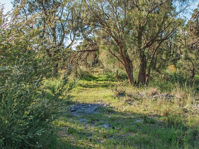 311 Nicolas Drive, Casuarina WA 6167