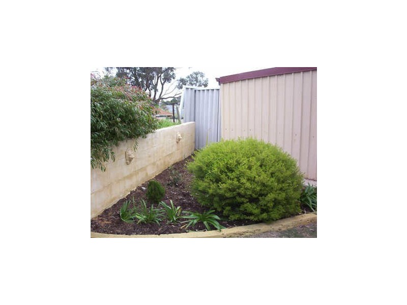 55 Camfield Loop, Parmelia WA 6167