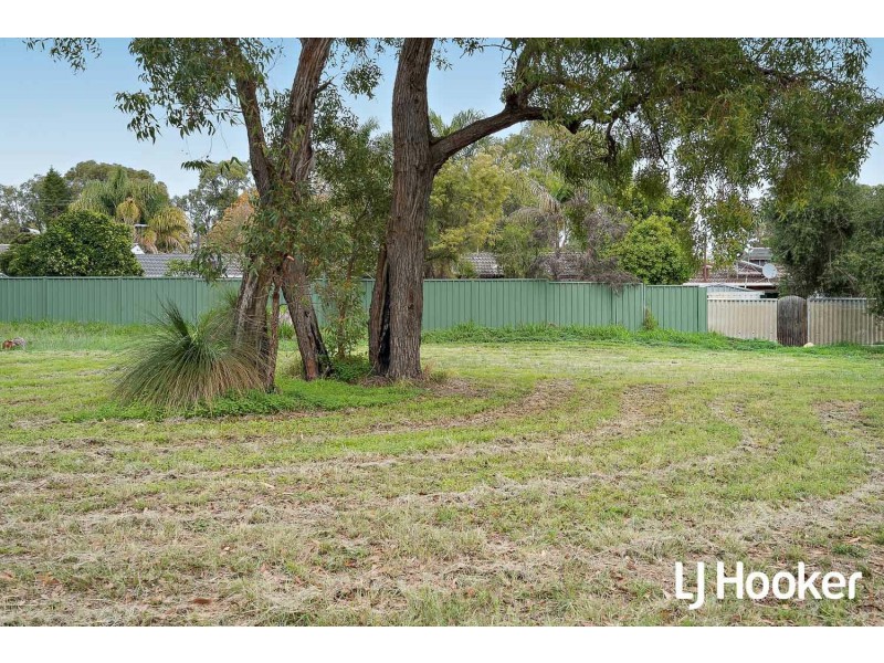 22 Elmslie Street, Orelia WA 6167