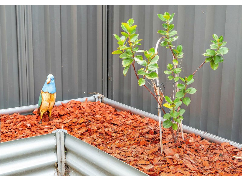 22 Solis Boulevard, Baldivis WA 6171