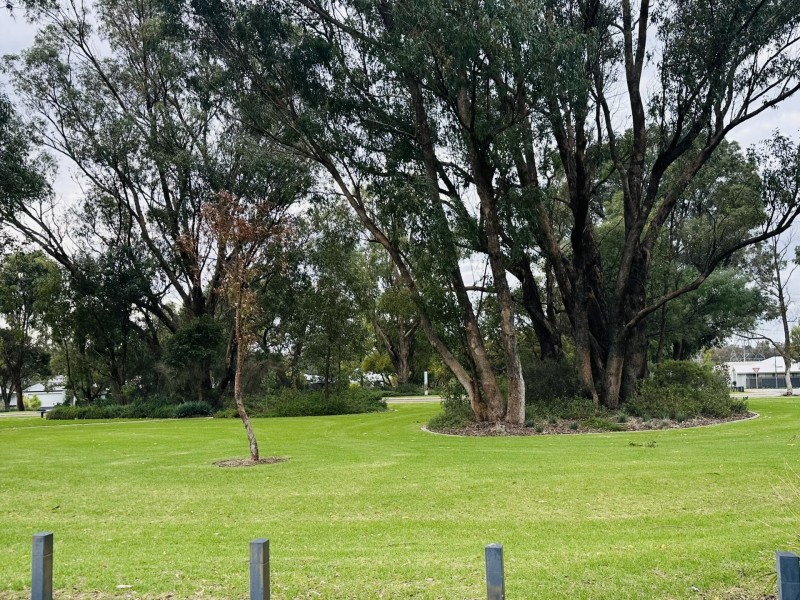28 Solstice Bend, Wellard WA 6170