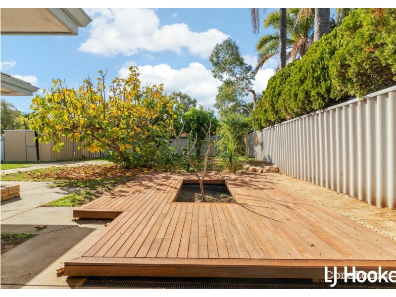 19 Stipling Gardens, Leda WA 6170