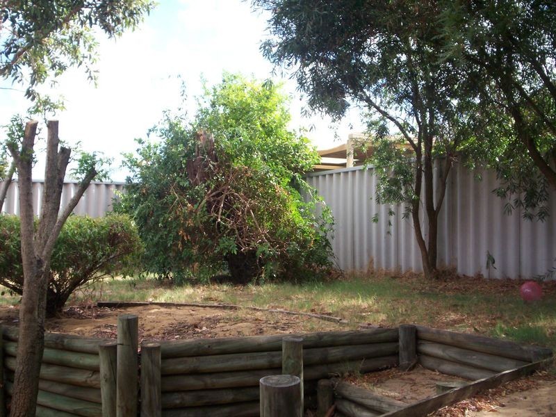 6 Prockter Gardens, Leda WA 6170