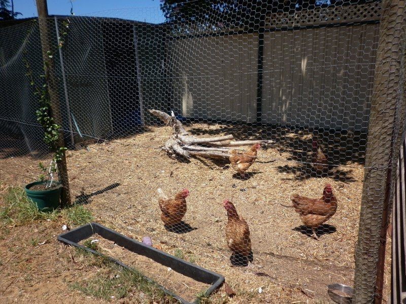 37 Rhodes Cres, Calista WA 6167