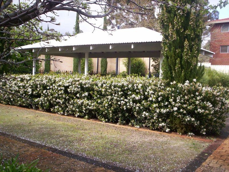 16/4 Canham Way, Orelia WA 6167