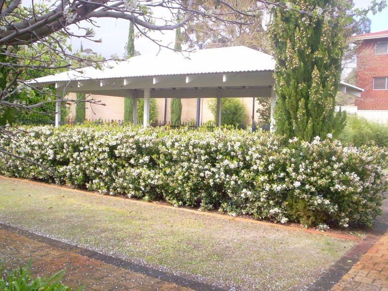 6/4 Canham Way, Orelia WA 6167