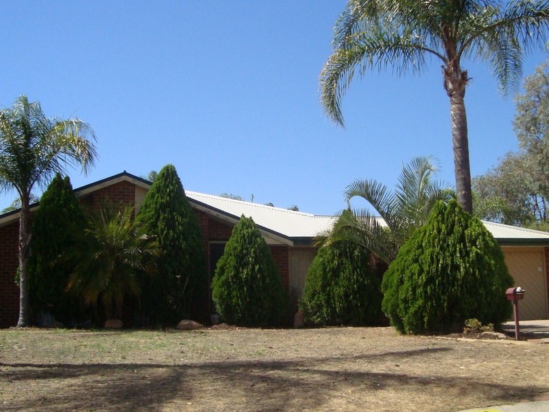 43 Whitebread Way, Leda WA 6170