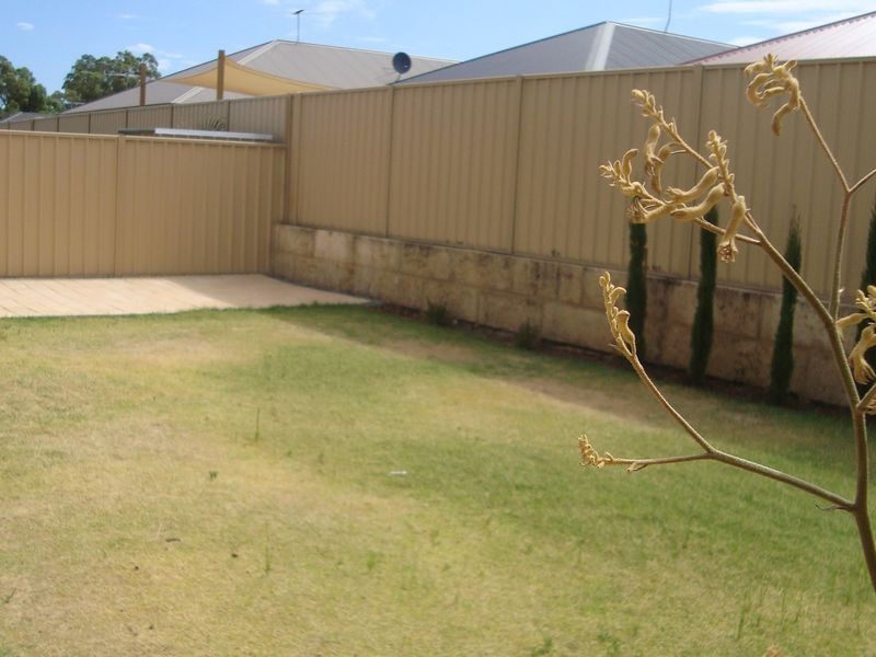 17 Millbrook Avenue, Bertram WA 6167