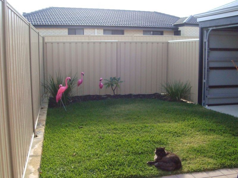 4 Cheltenham Loop, Bertram WA 6167