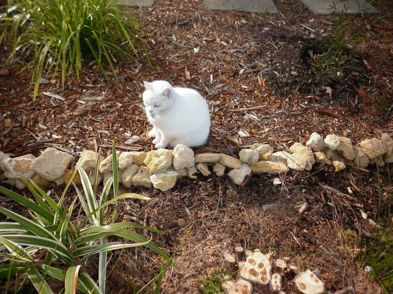 11 Summerton Road, Medina WA 6167