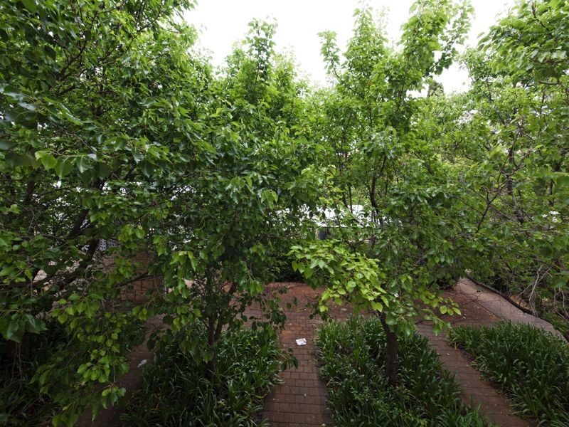 20/4 Canham Way, Orelia WA 6167